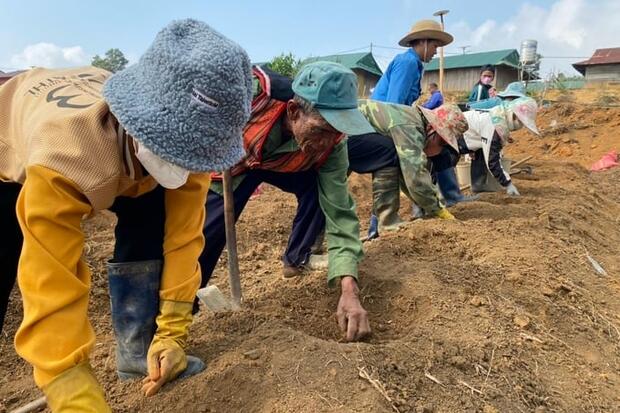 Quy hoạch vùng trồng hoa hồng lớn nhất tỉnh Kon Tum