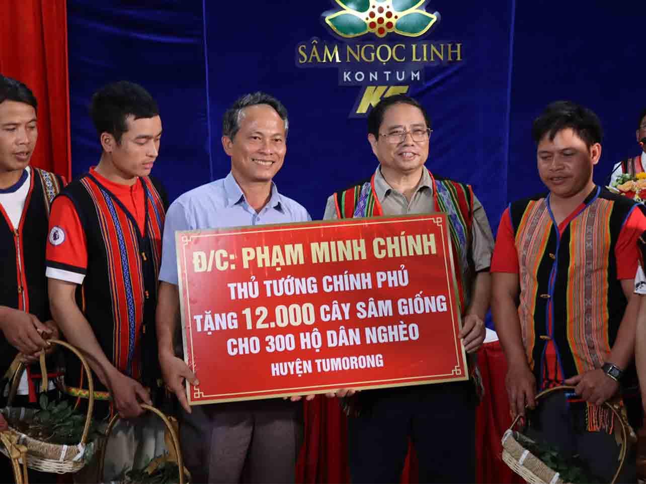 Trao 12.000 cây giống sâm Ngọc Linh cho người dân nghèo ở Kon Tum