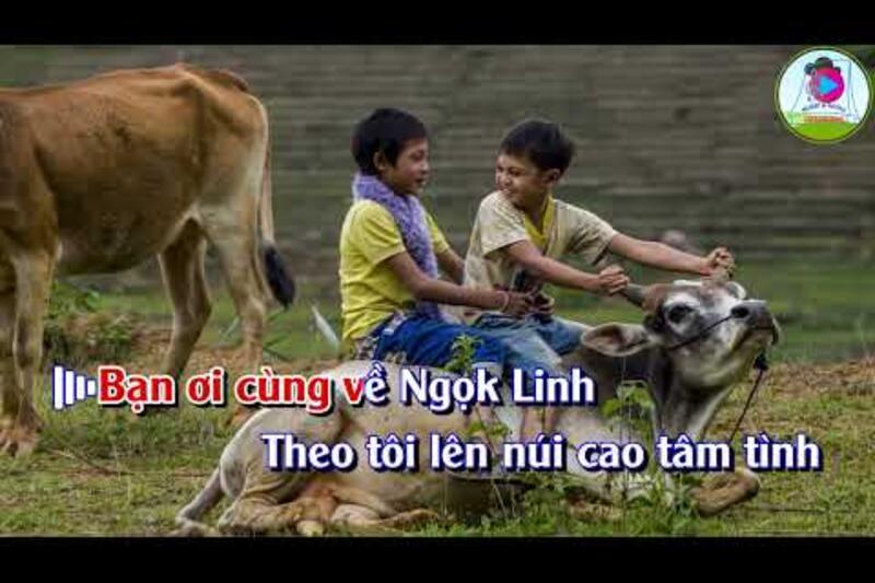 Ngọk Linh vẫy gọi